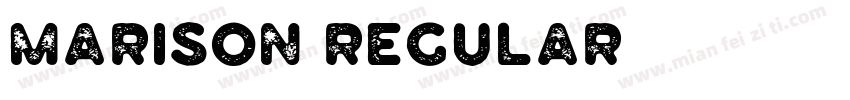 MARISON REGULAR字体转换